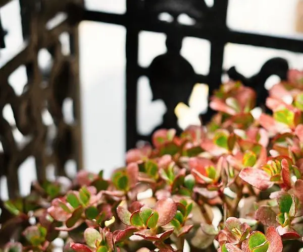 Okako فندق سان سيباستيان