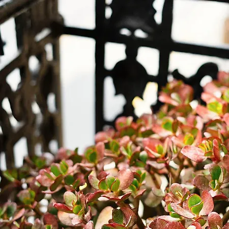 Okako * サン・セバスティアン