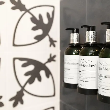 Okako サン・セバスティアン